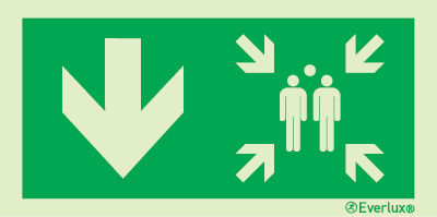 Emergency escape route sign, Assembly point, Arrow down