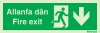 Evacuation sign, fire exit, arrow down welsh/english