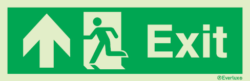 Emergency escape route sign, british standard escape route with text arrow up