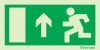 Emergency escape route sign, European Directive 92/58/EEC, arrow up
