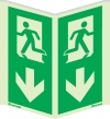 Emergency escape route sign, Panoramic signs wall mounted vertical BS ISO, Arrow down
