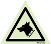 Warning signs, Beware of dog
